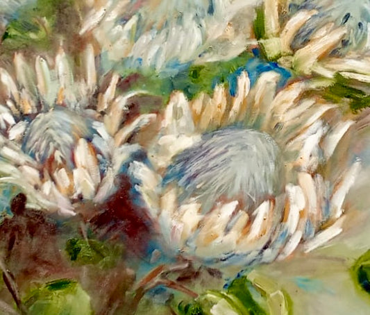 White Proteas - Soft Indigenous Floral Still Life