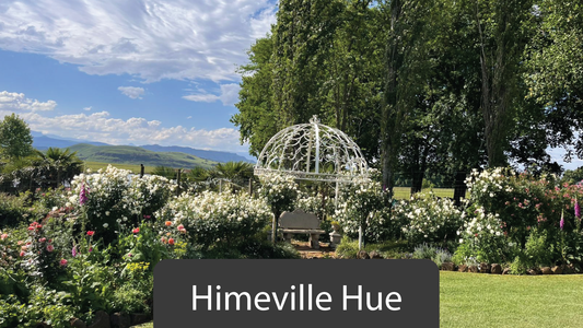 Blooming Inspiration