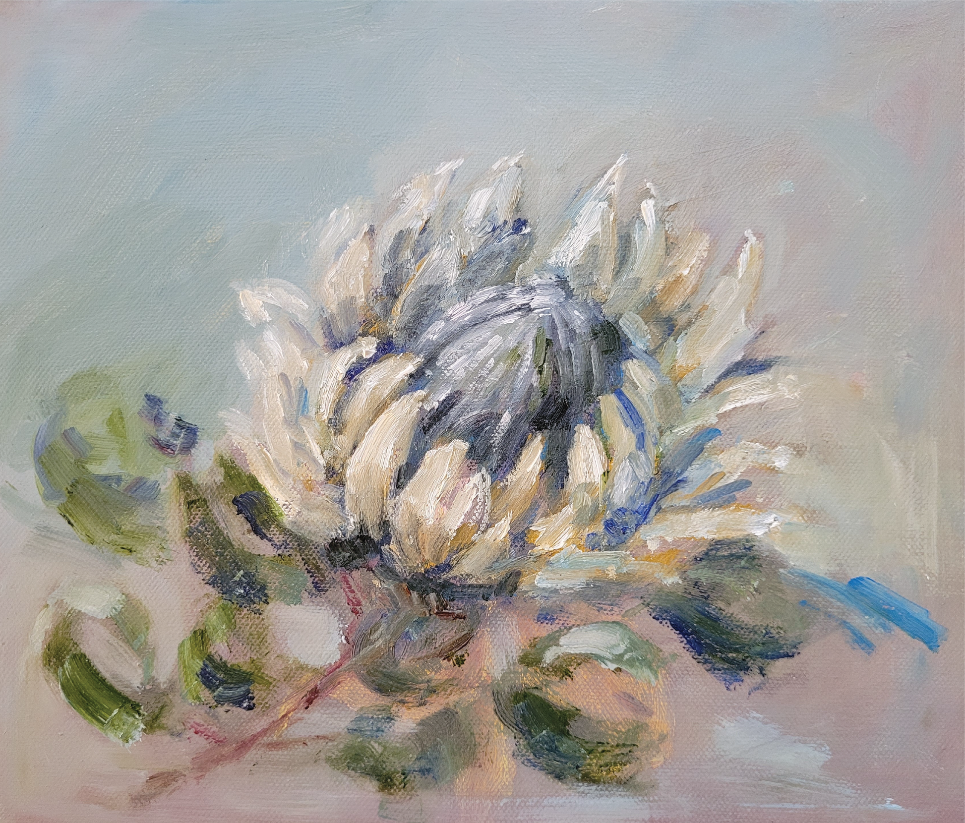 South African artwork original painting – White Protea Bloom. FineArt4All Originals. <p>Celebrate the quiet strength and beauty of South Africa’s beloved protea in this striking oil painting