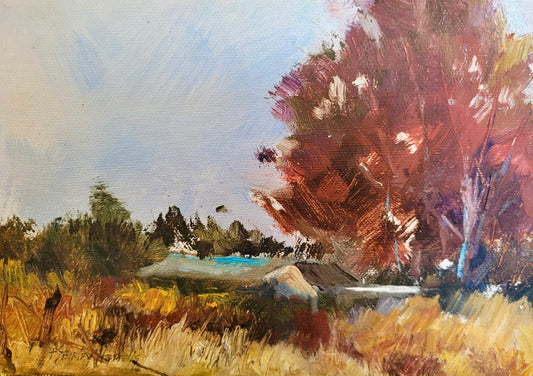 Autumn Glow
