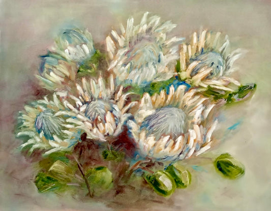 White Proteas - Soft Indigenous Floral Still Life